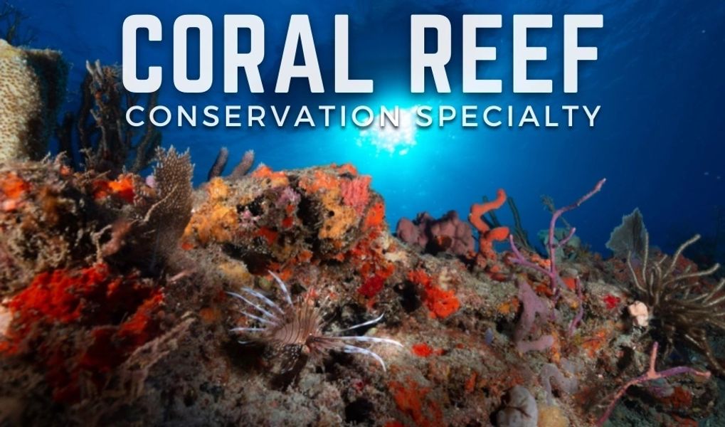 AWARE Coral Reef Conservation course cover