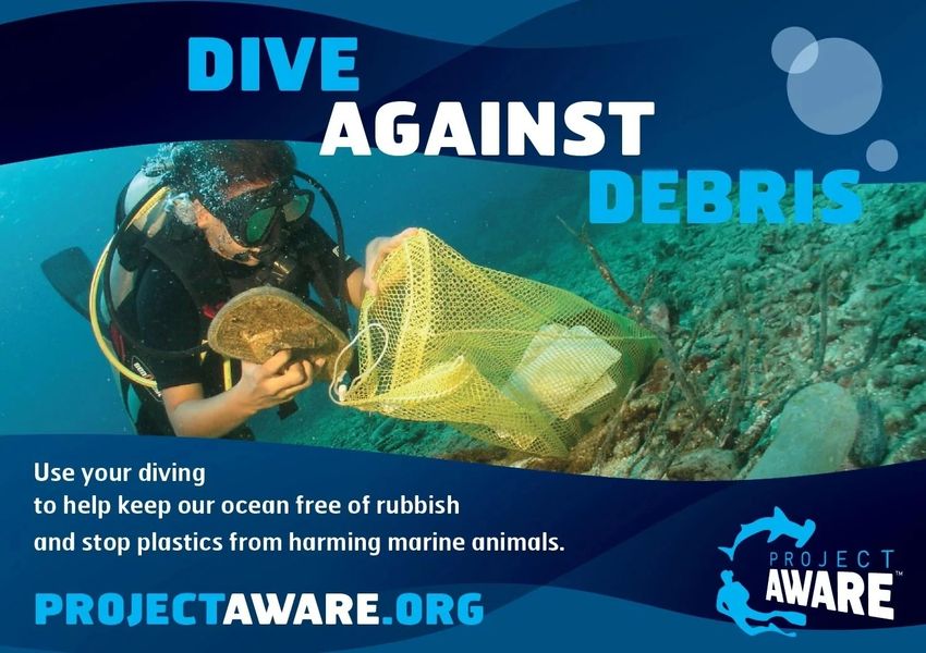 Dive Against Debris course cover