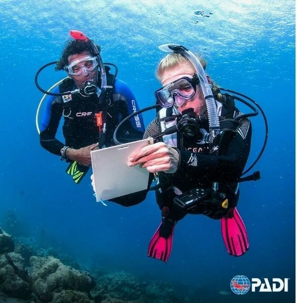 Underwater Naturalist course cover