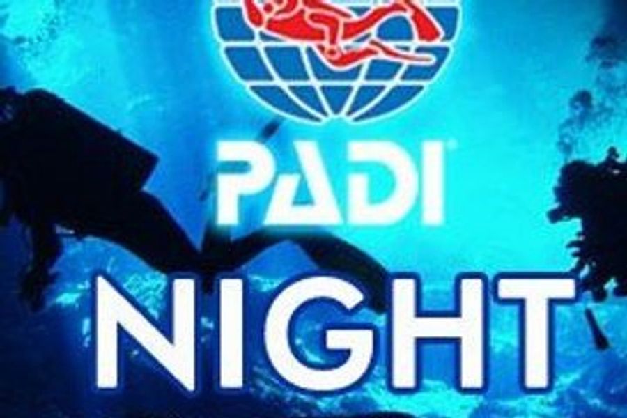 Night Diver course cover