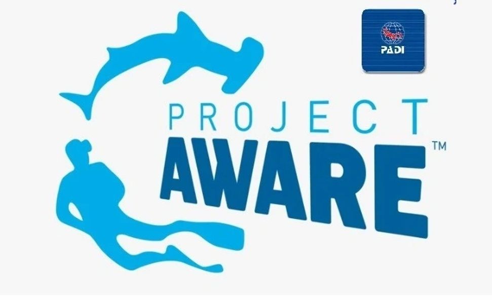 Project AWARE course cover