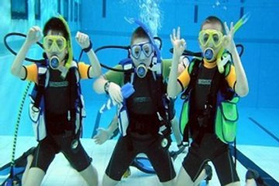 PADI Seal Team course cover