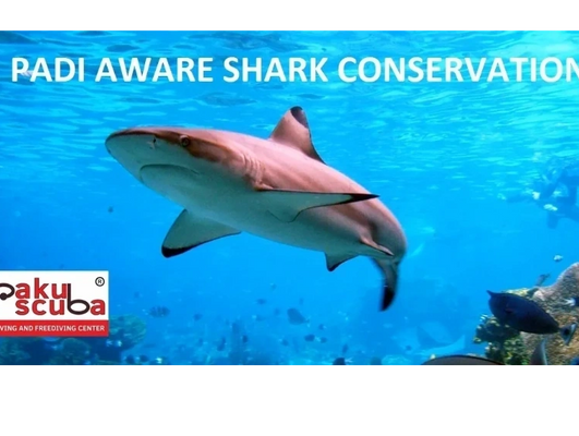 AWARE Shark Conservation course cover