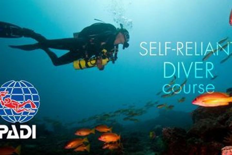 Self Reliant Diver (Solo) course cover