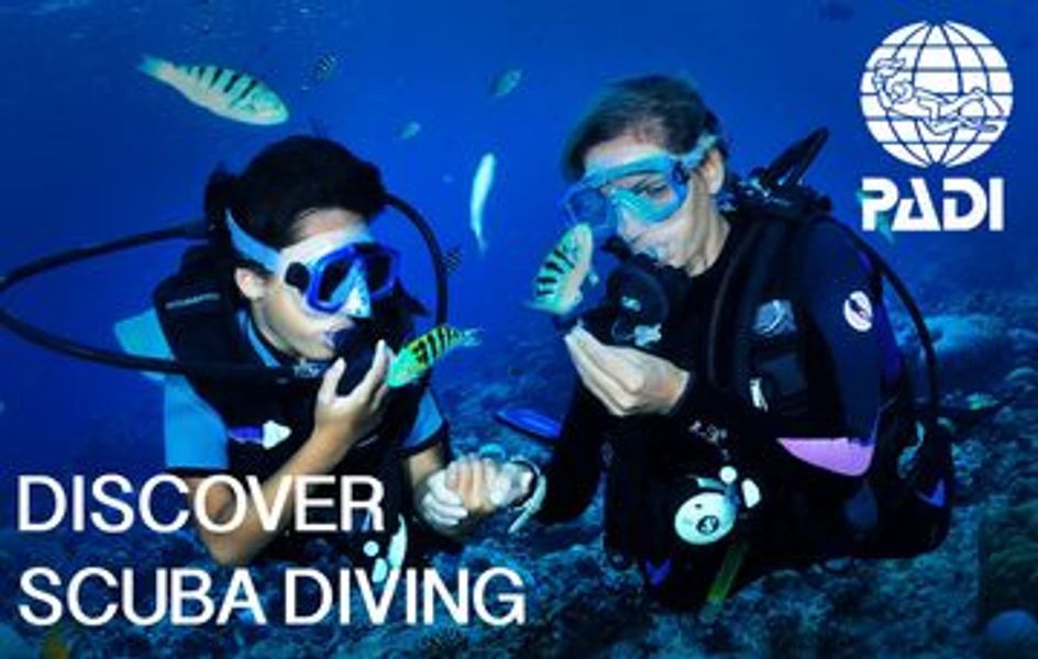 PADI Discover Scuba Diving course cover
