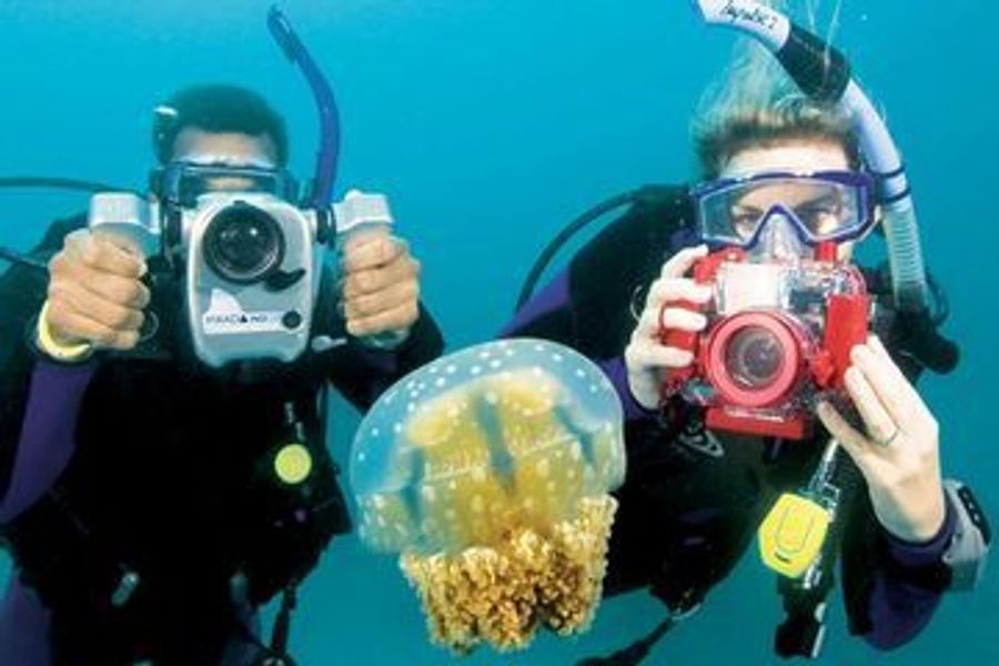 Underwater Photographer course cover
