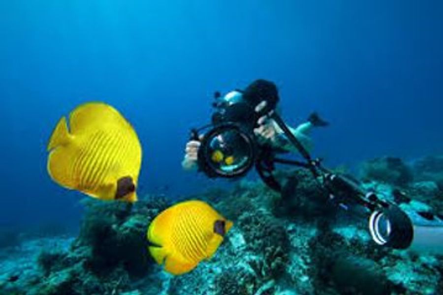 Underwater Videographer course cover